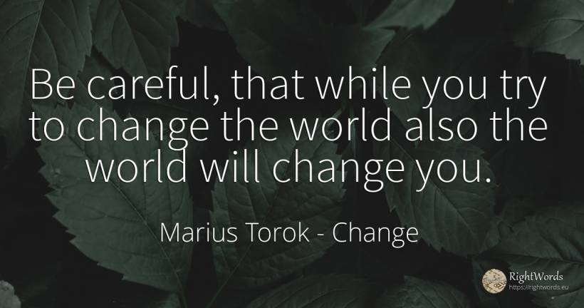 Be careful, that while you try to change the world also... - Marius Torok (Darius Domcea), quote about change, world