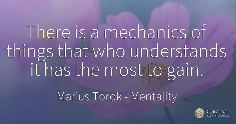 There is a mechanics of things that who understands it... - Marius Torok (Darius Domcea), quote about mentality, things