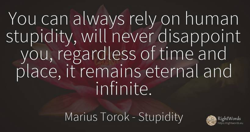 You can always rely on human stupidity, will never... - Marius Torok (Darius Domcea), quote about stupidity, infinite, human imperfections, time