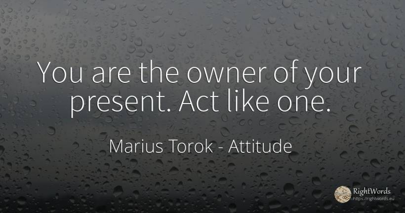 You are the owner of your present. Act like one. - Marius Torok (Darius Domcea), quote about attitude, present