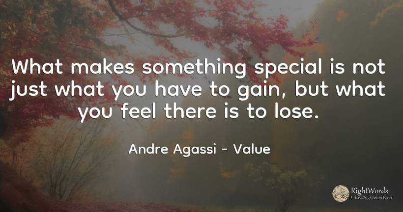 What makes something special is not just what you have to... - Andre Agassi, quote about value