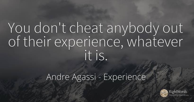 You don't cheat anybody out of their experience, whatever... - Andre Agassi, quote about experience