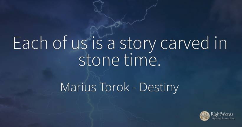 Each of us is a story carved in stone time. - Marius Torok (Darius Domcea), quote about destiny, time