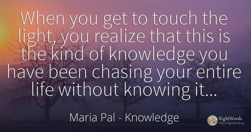When you get to touch the light, you realize that this is... - Maria Pal, quote about light, knowledge, life