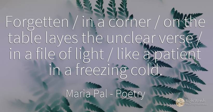 Forgetten / in a corner / on the table layes the unclear... - Maria Pal, quote about poetry, light