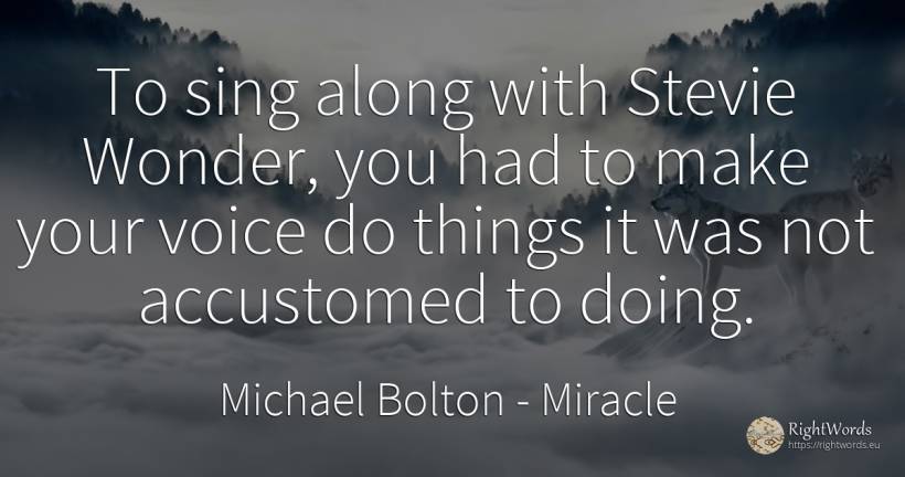 To sing along with Stevie Wonder, you had to make your... - Michael Bolton, quote about miracle, voice, things