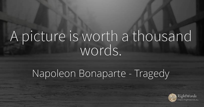 A picture is worth a thousand words. - Napoleon Bonaparte, quote about tragedy