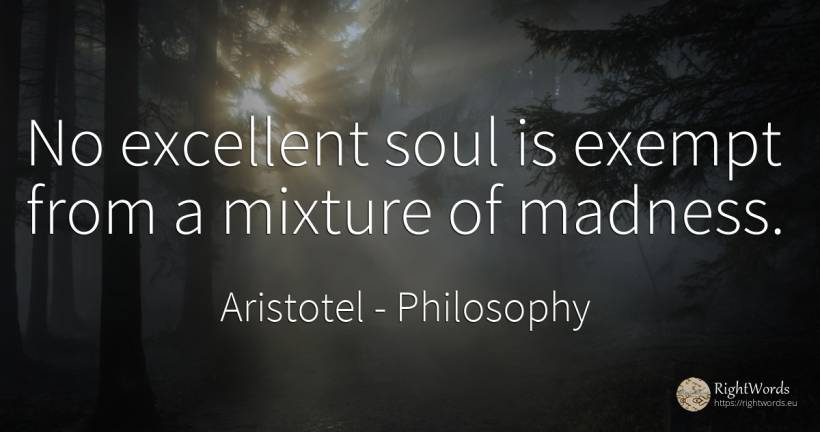 No excellent soul is exempt from a mixture of madness. - Aristotel, quote about philosophy, soul