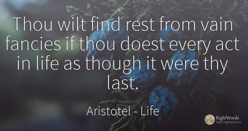 Thou wilt find rest from vain fancies if thou doest every... - Aristotel, quote about life