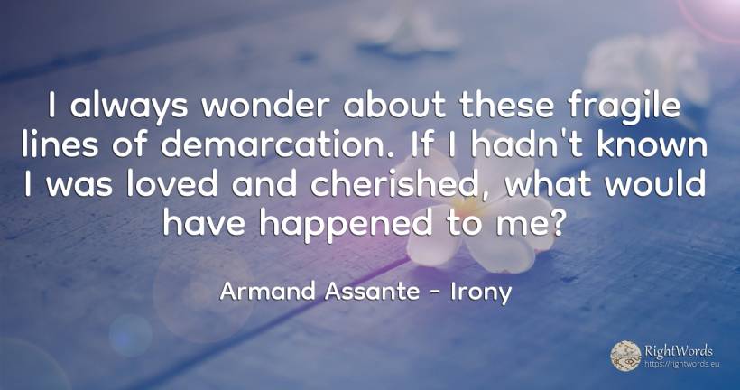I always wonder about these fragile lines of demarcation.... - Armand Assante, quote about irony, miracle