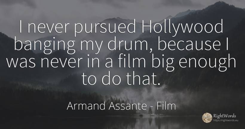 I never pursued Hollywood banging my drum, because I was... - Armand Assante, quote about film