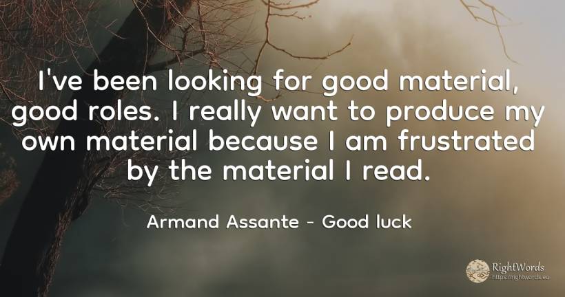 I've been looking for good material, good roles. I really... - Armand Assante, quote about good, good luck