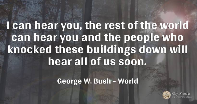 I can hear you, the rest of the world can hear you and... - George W. Bush, quote about world, people