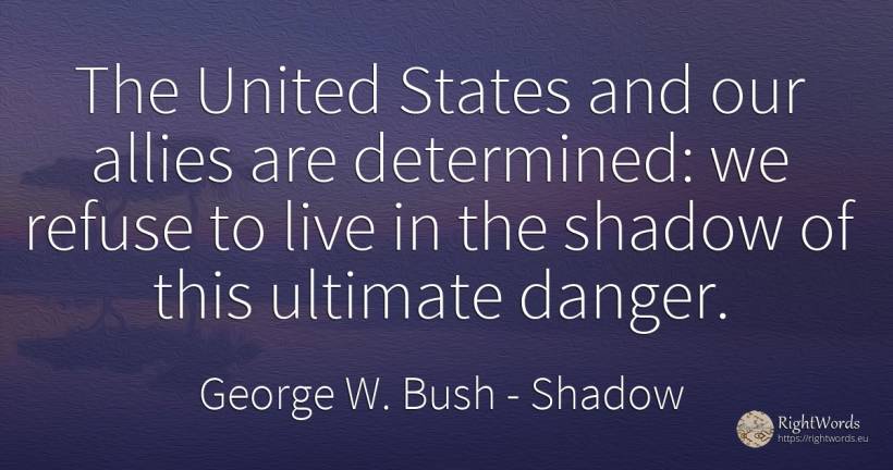 The United States and our allies are determined: we... - George W. Bush, quote about shadow, danger