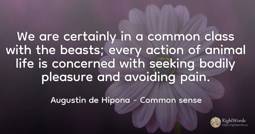 We are certainly in a common class with the beasts; every... - Saint Augustine (Augustine of Hippo) (Aurelius Augustinus), quote about common sense, action, pain, pleasure, life