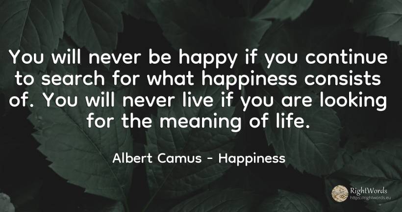 You will never be happy if you continue to search for... - Albert Camus, quote about happiness, life
