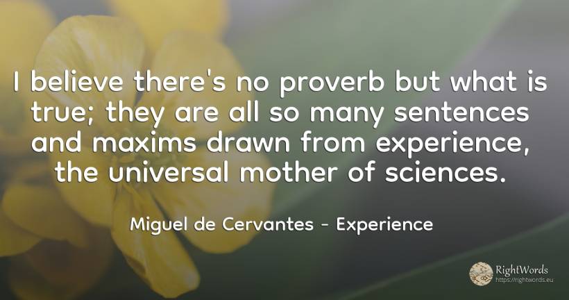 I believe there's no proverb but what is true; they are... - Miguel de Cervantes, quote about experience, mother