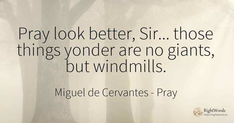 Pray look better, Sir... those things yonder are no... - Miguel de Cervantes, quote about pray, things
