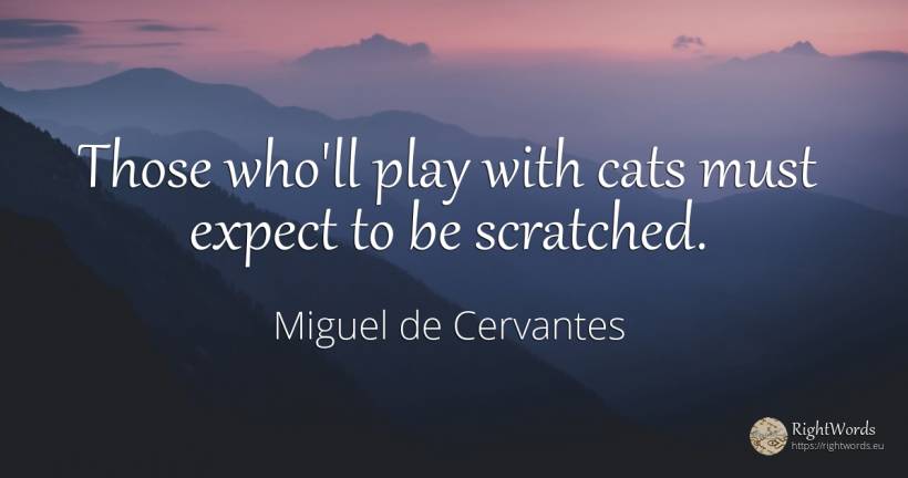 Those who'll play with cats must expect to be scratched. - Miguel de Cervantes