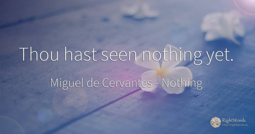 Thou hast seen nothing yet. - Miguel de Cervantes, quote about nothing