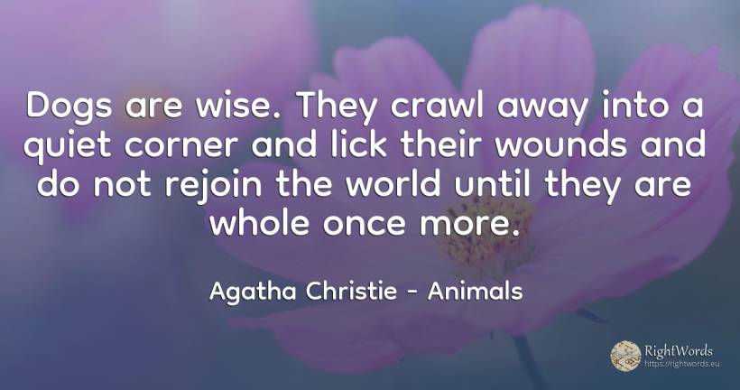 Dogs are wise. They crawl away into a quiet corner and... - Agatha Christie, quote about animals, quiet, world