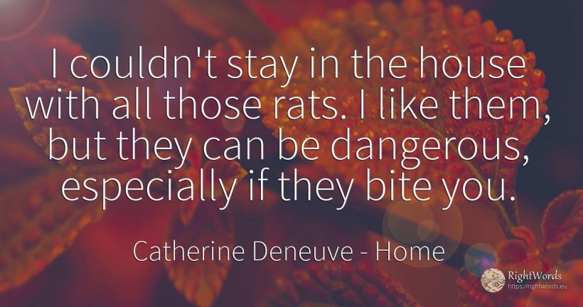I couldn't stay in the house with all those rats. I like... - Catherine Deneuve, quote about home, house