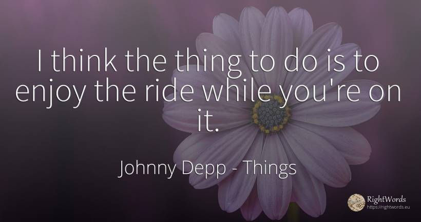 I think the thing to do is to enjoy the ride while you're... - Johnny Depp, quote about things