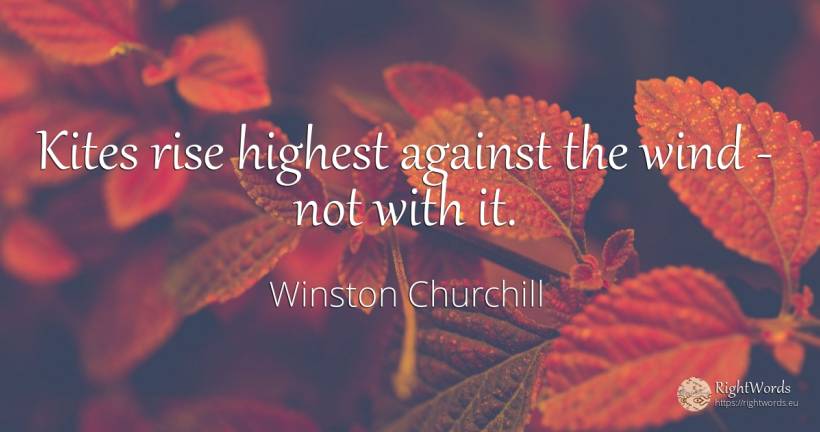 Kites rise highest against the wind - not with it. - Winston Churchill