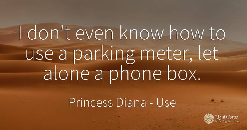 I don't even know how to use a parking meter, let alone a... - Princess Diana, quote about use
