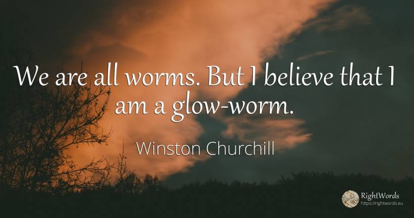We are all worms. But I believe that I am a glow-worm. - Winston Churchill
