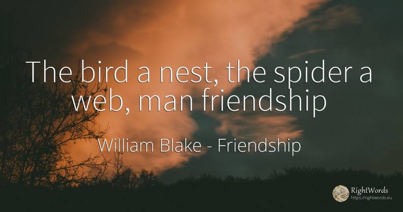 The bird a nest, the spider a web, man friendship - William Blake, quote about friendship, man