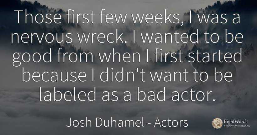 Those first few weeks, I was a nervous wreck. I wanted to... - Josh Duhamel, quote about bad luck, actors, bad, good, good luck