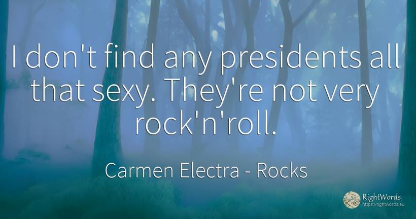 I don't find any presidents all that sexy. They're not... - Carmen Electra, quote about sex, rocks