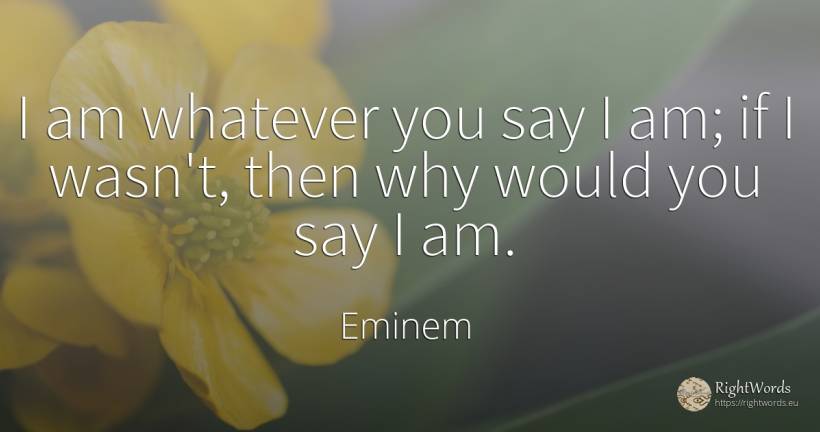 I am whatever you say I am; if I wasn't, then why would... - Eminem
