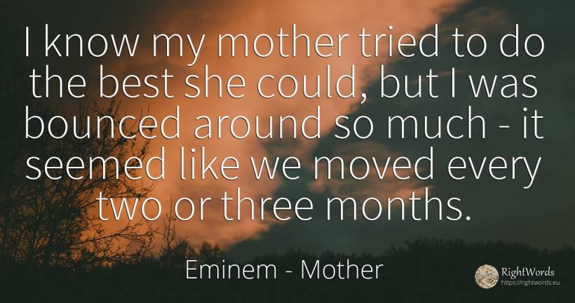 I know my mother tried to do the best she could, but I... - Eminem, quote about mother