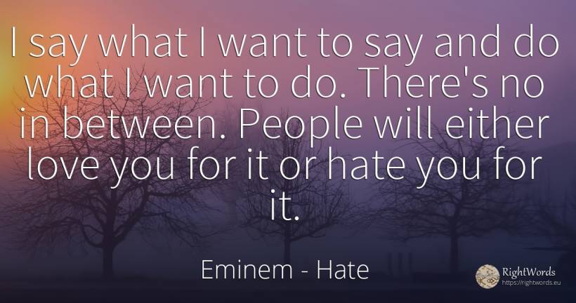 I say what I want to say and do what I want to do.... - Eminem, quote about hate, love, people