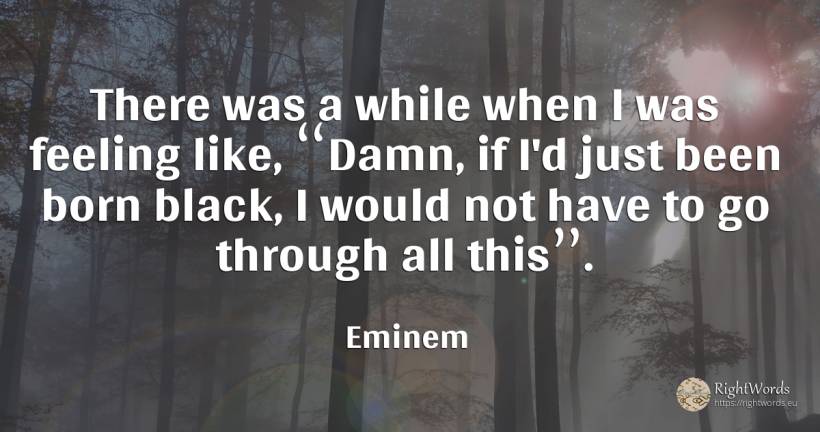There was a while when I was feeling like, “Damn, if I'd... - Eminem, quote about magic