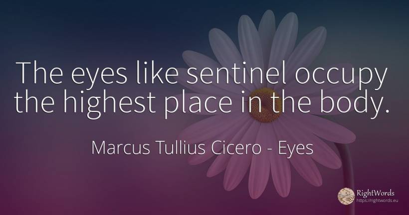 The eyes like sentinel occupy the highest place in the body. - Marcus Tullius Cicero, quote about eyes, body