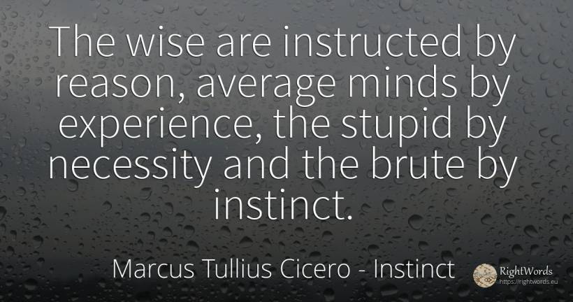 The wise are instructed by reason, average minds by... - Marcus Tullius Cicero, quote about instinct, experience, reason