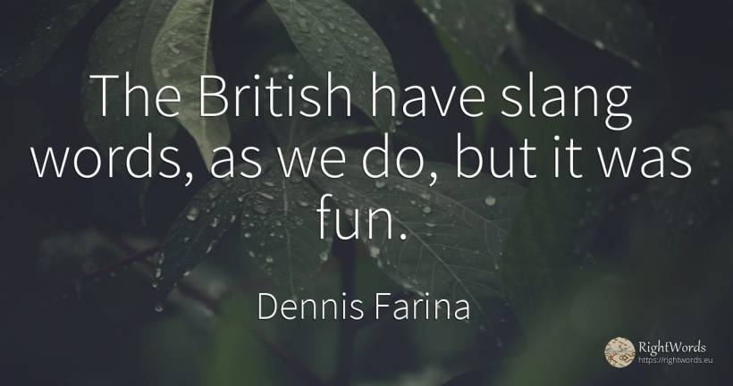 The British have slang words, as we do, but it was fun. - Dennis Farina