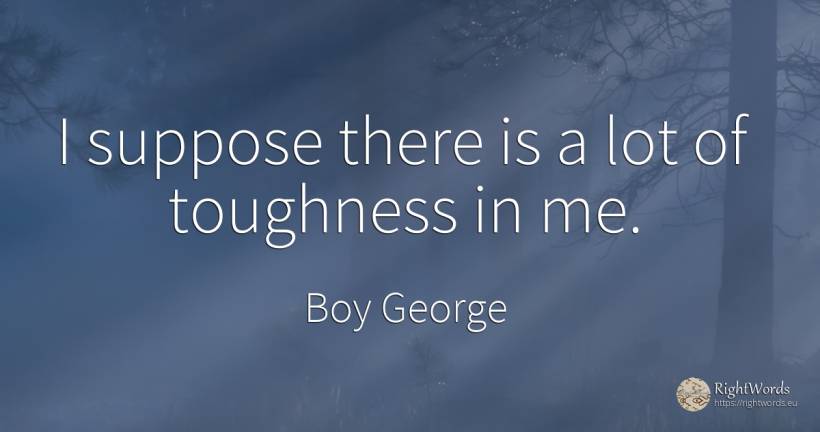 I suppose there is a lot of toughness in me. - Boy George