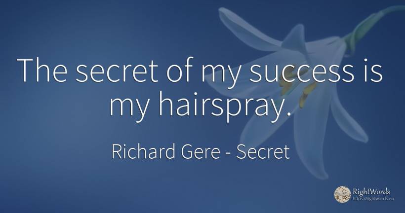 The secret of my success is my hairspray. - Richard Gere, quote about secret