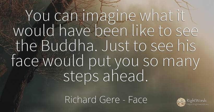 You can imagine what it would have been like to see the... - Richard Gere, quote about face