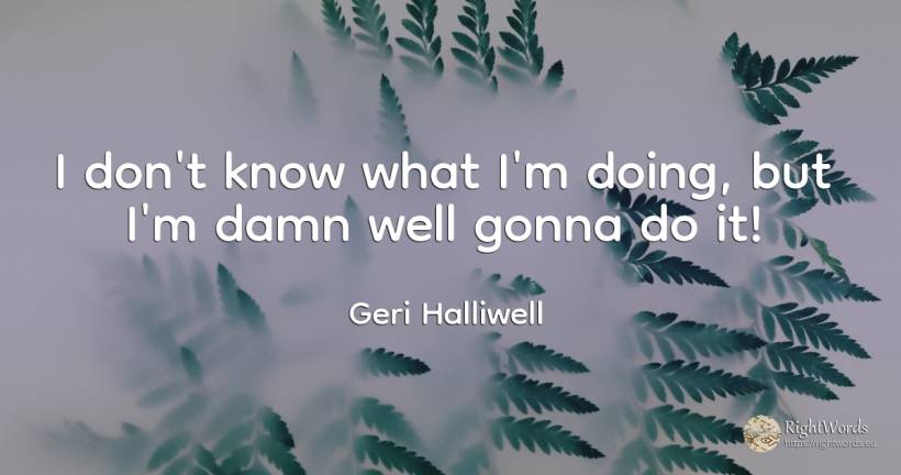 I don't know what I'm doing, but I'm damn well gonna do it! - Geri Halliwell