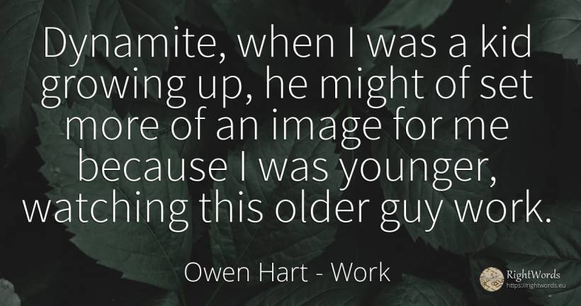 Dynamite, when I was a kid growing up, he might of set... - Owen Hart, quote about work
