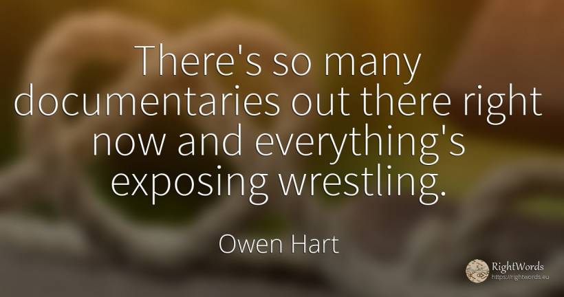 There's so many documentaries out there right now and... - Owen Hart, quote about rightness