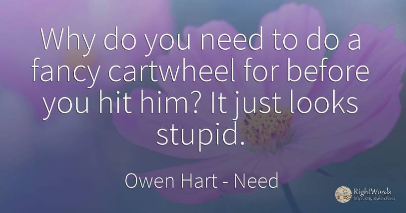Why do you need to do a fancy cartwheel for before you... - Owen Hart, quote about need