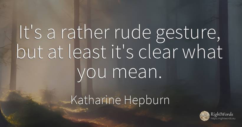 It's a rather rude gesture, but at least it's clear what... - Katharine Hepburn