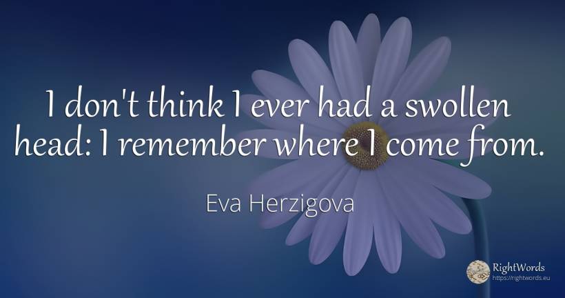 I don't think I ever had a swollen head: I remember where... - Eva Herzigova, quote about heads