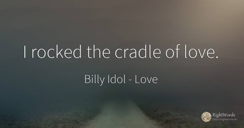 I rocked the cradle of love. - Billy Idol, quote about love